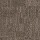 Philadelphia Commercial Carpet Tile: Rhythm 12 X 48 Tile Diapason